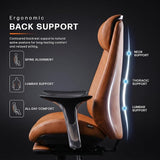 Scaun Gaming Ergonomic cu Spatar Inalt si Suport Lombar Ajustabil - detaliu produs