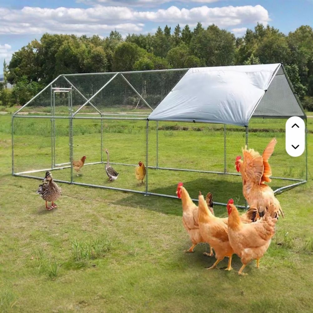 Cotet / tarc pentru pasari 3 x 6 x 2 m din otel galvanizat MESTERINO TOOLS MTGC-036