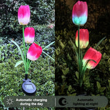 Set 2 Lămpi Solare Decorative Tip Lalele Rosii LED M374-23 70cm Automată - imagine principala