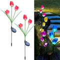Set 2 Lămpi Solare Decorative Tip Lalele Rosii LED M374-23 70cm Automată