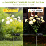 Set 2 Lumini Solare Meduza ZHUDDONG 12 LED Alb Cald 30cm Decoratiune Gradina - detaliu produs