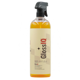 Spray Luciu pentru Plastic IQ13 Restaurator Ornamente Exterioare 1000 ml - imagine principala