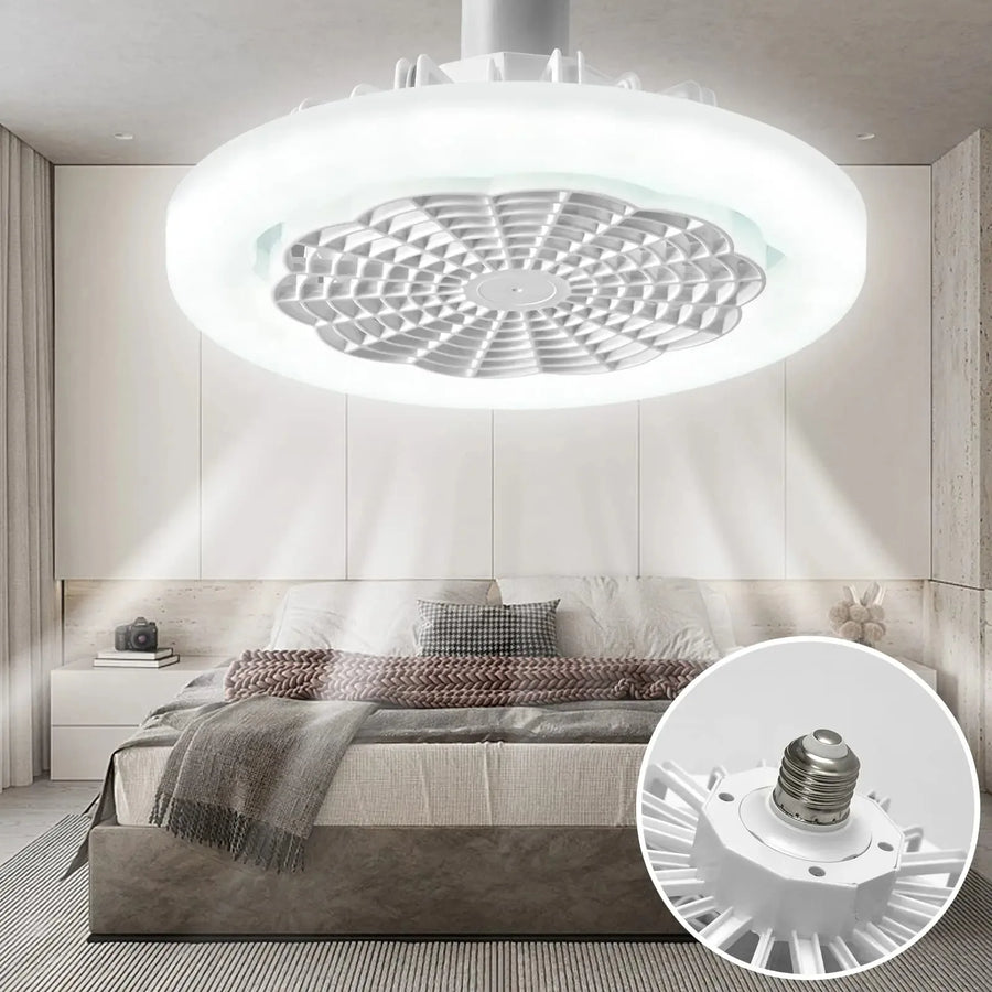 Iluminat & Electrice
