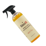 Spray Luciu pentru Plastic IQ13 Restaurator Ornamente Exterioare 1000 ml - detaliu produs